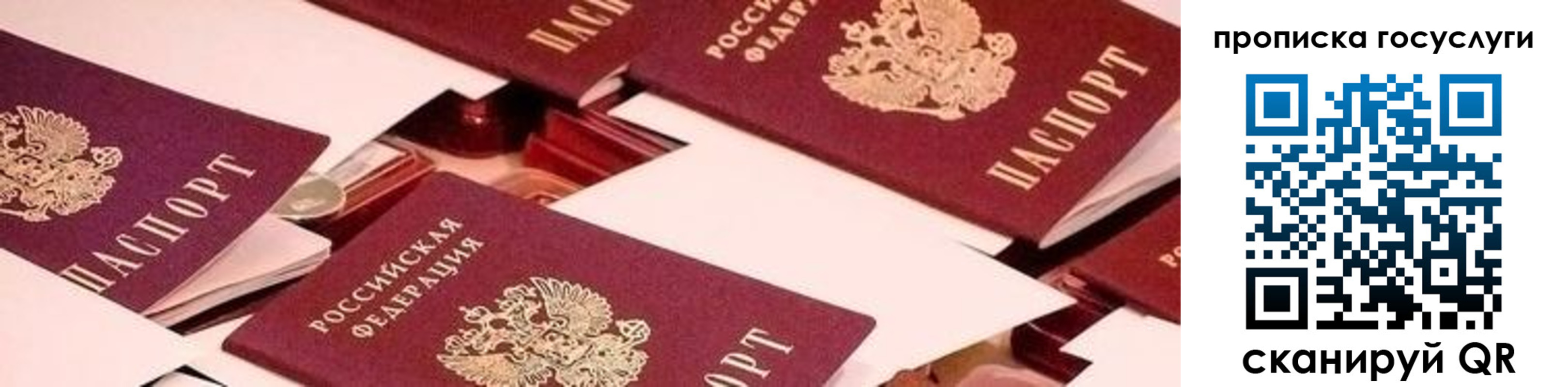 регистрация в Нелидово